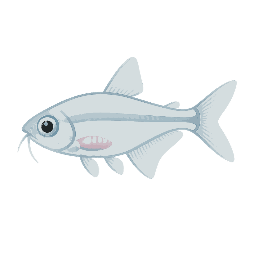 Porträt von Cleaaver