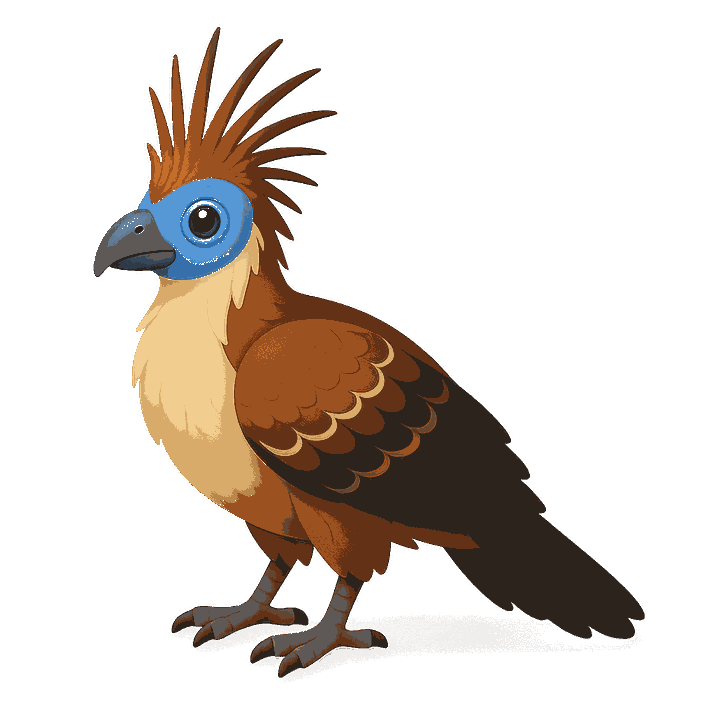 Portrait of lauraShaw